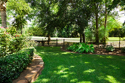 ShadeAndTrees-181142492