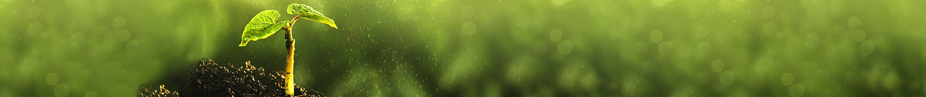 SpringEnergyTips-Banner-1290501543