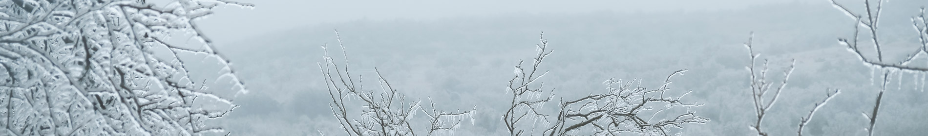 Winter Energy Tips